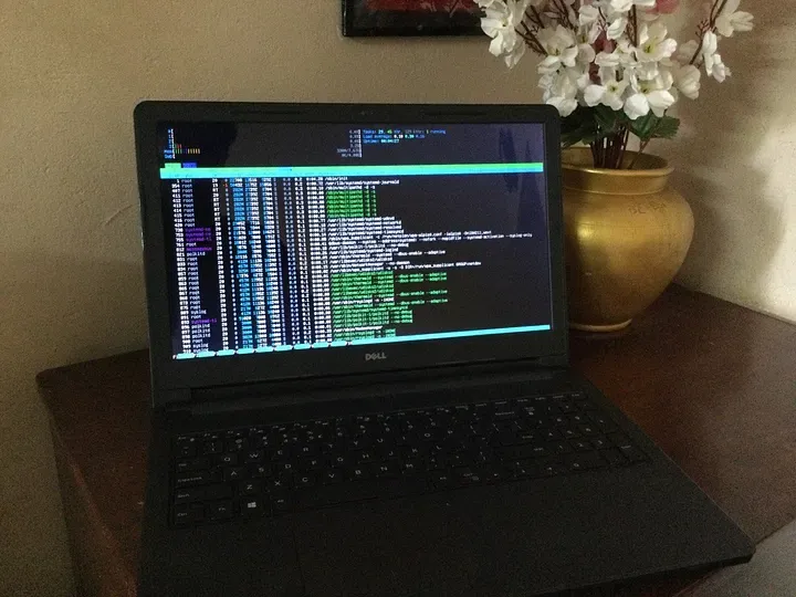 The server in all its glory